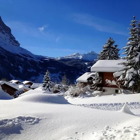 Mislin, Direkte Bergsicht Grindelwald