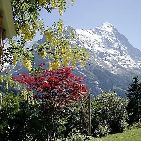 Apartment Mislin, Direkte Bergsicht Grindelwald