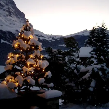 Mislin, Direkte Bergsicht * Grindelwald