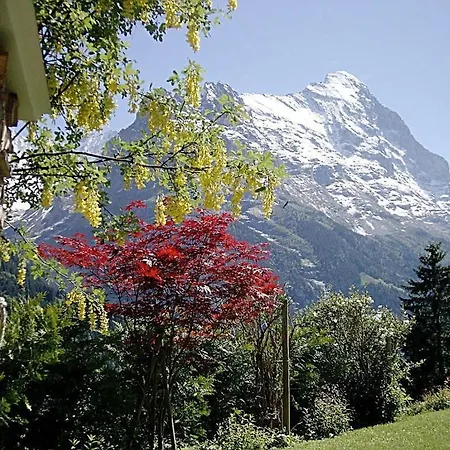 Mislin, Direkte Bergsicht * Grindelwald